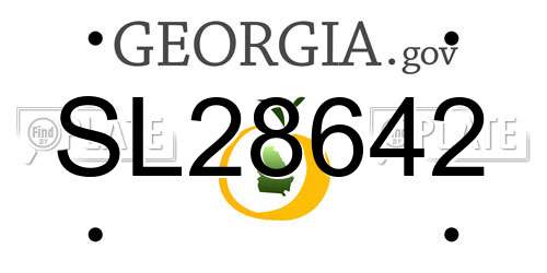 SL28642 Georgia License Plate