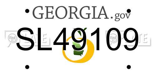 SL49109 Georgia License Plate