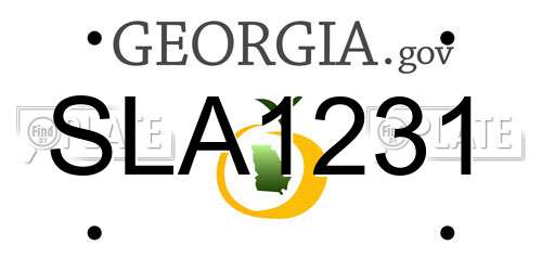 SLA1231 Georgia License Plate