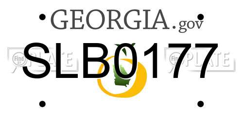 SLB0177 Georgia License Plate