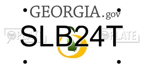 SLB24T Georgia License Plate