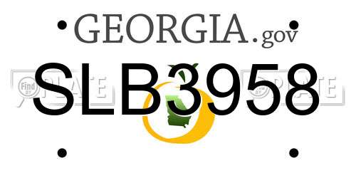 SLB3958 Georgia License Plate