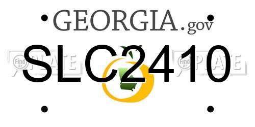 SLC2410 Georgia License Plate