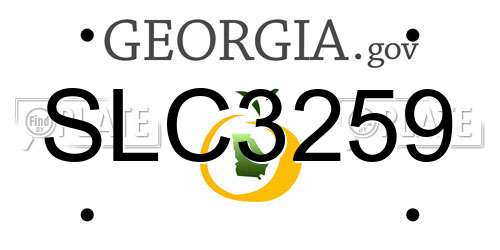 SLC3259 Georgia License Plate