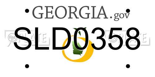 SLD0358 Georgia License Plate