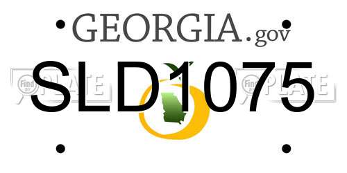 SLD1075 Georgia License Plate