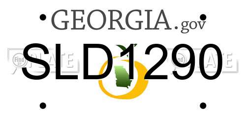 SLD1290 Georgia License Plate