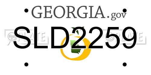 SLD2259 Georgia License Plate