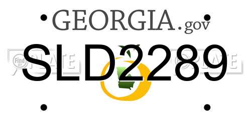 SLD2289 Georgia License Plate