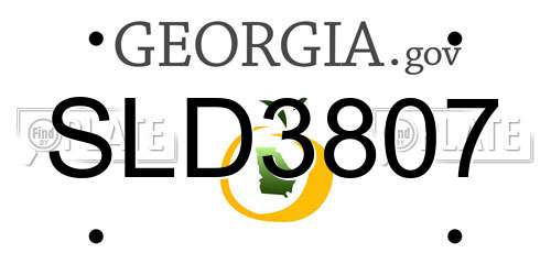 SLD3807 Georgia License Plate