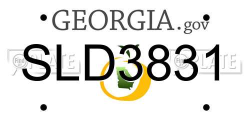 SLD3831 Georgia License Plate