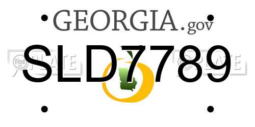 SLD7789 Georgia License Plate