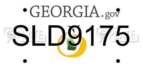 SLD9175 Georgia License Plate