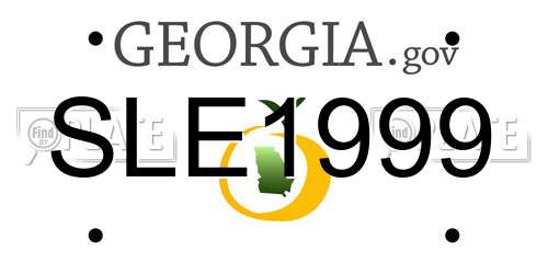 SLE1999 Georgia License Plate