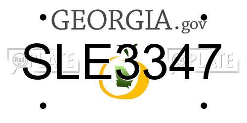 SLE3347 Georgia License Plate