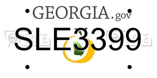 SLE3399 Georgia License Plate