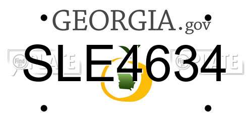 SLE4634 Georgia License Plate