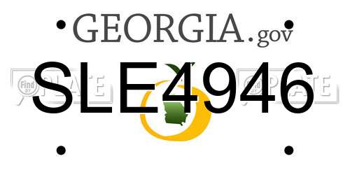 SLE4946 Georgia License Plate