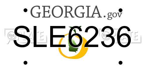 SLE6236 Georgia License Plate