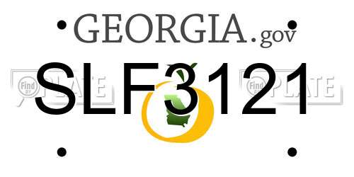 SLF3121 Georgia License Plate