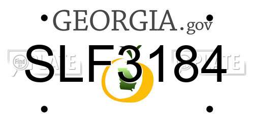 SLF3184 Georgia License Plate