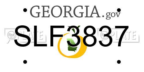 SLF3837 Georgia License Plate
