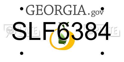 SLF6384 Georgia License Plate