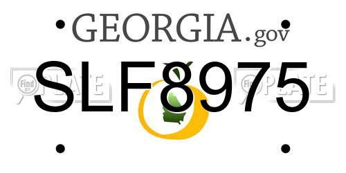 SLF8975 Georgia License Plate