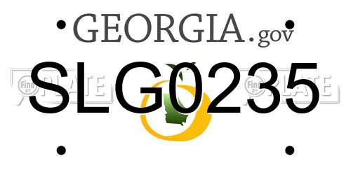 SLG0235 Georgia License Plate