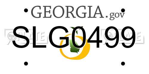 SLG0499 Georgia License Plate