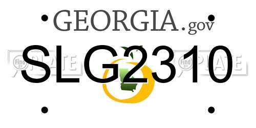 SLG2310 Georgia License Plate