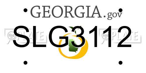 SLG3112 Georgia License Plate