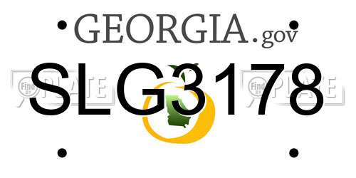 SLG3178 Georgia License Plate