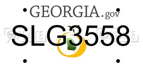 SLG3558 Georgia License Plate
