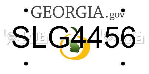 SLG4456 Georgia License Plate