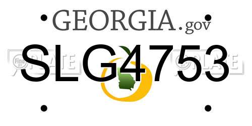 SLG4753 Georgia License Plate