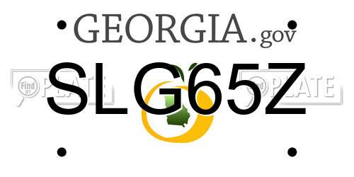 SLG65Z Georgia License Plate