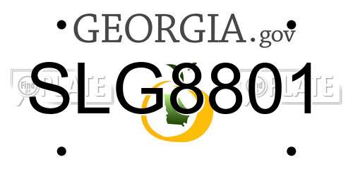 SLG8801 Georgia License Plate