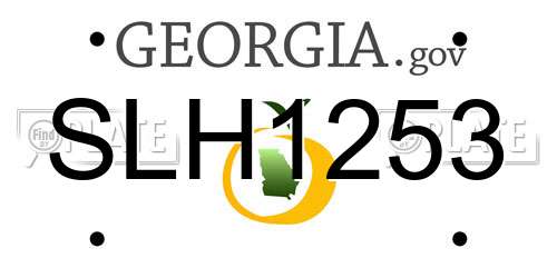 SLH1253 Georgia License Plate