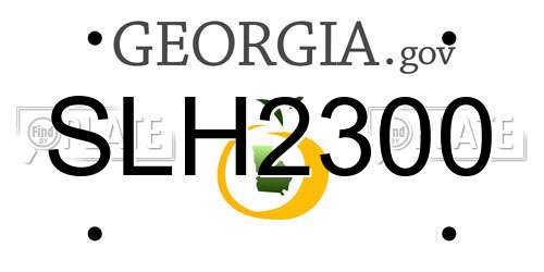 SLH2300 Georgia License Plate