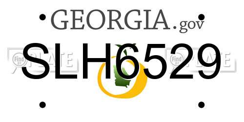 SLH6529 Georgia License Plate