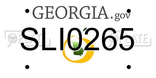 SLI0265 Georgia License Plate