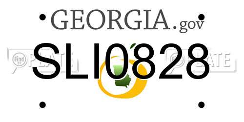 SLI0828 Georgia License Plate