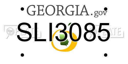 SLI3085 Georgia License Plate