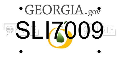 SLI7009 Georgia License Plate