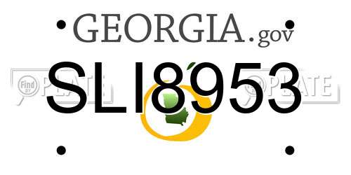 SLI8953 Georgia License Plate