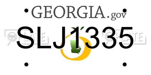 SLJ1335 Georgia License Plate