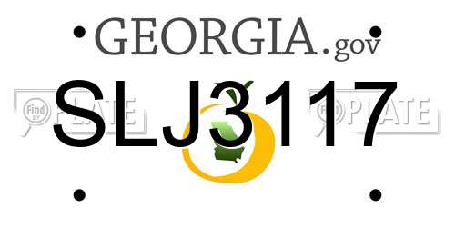 SLJ3117 Georgia License Plate