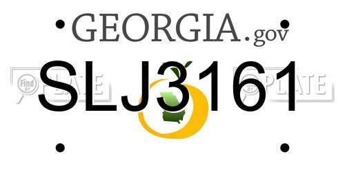 SLJ3161 Georgia License Plate