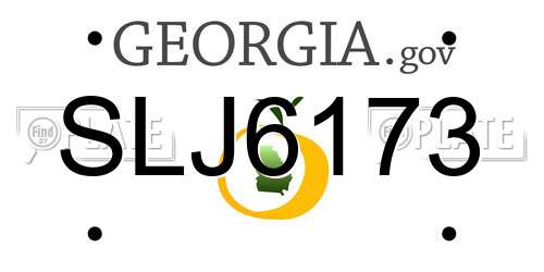 SLJ6173 Georgia License Plate